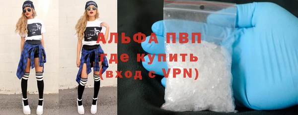 гидра Белокуриха