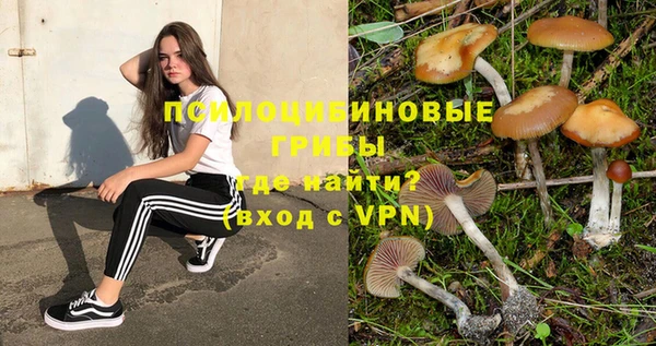 эйфоретик Снежногорск
