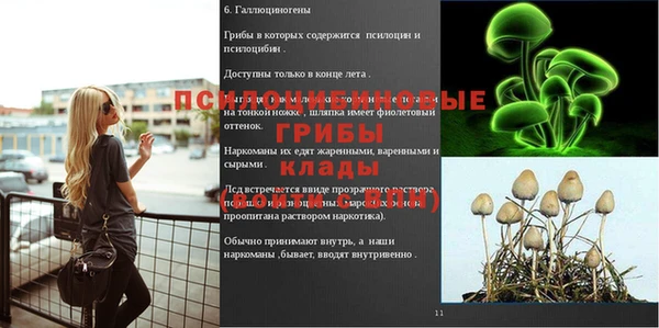 гидра Белокуриха