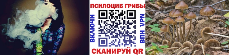 продажа наркотиков  ссылка на мегу зеркало  Псилоцибиновые грибы прущие грибы  Кыштым 